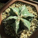 이동철농장 이미지