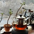 힐링(카페) 코스 | 강원도 횡성 한방족욕카페 후기｜가족여행 힐링코스 추천