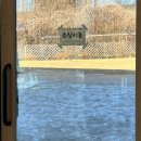 딩가댕가 | 포천 애견카페 후기｜뽀야네 딩가댕가 솔직 방문기