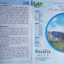 면역력의 창조
