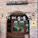 카페두목 | 용인 처인구 애견동반카페 | 천연잔디에서 산책까지 가능한 카페블룸스 내돈내산 후기
