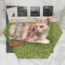 호평동물병원 | 청라 유기견무료분양 반려동물보호센터에서 가족을 만난 이야기