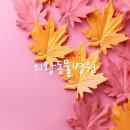 활기찬동물병원 네이버블로그