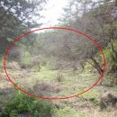 명지산주유소 이미지