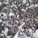 화니농장 이미지