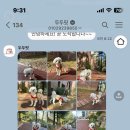 두두핏 이미지