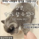 2024 박문각 주택관리사 - 기본 - 주택관리 관계법규 | 🏢 2025년 주택관리사, 정말 &#34;쉬운&#34; 자격증일까? 현실 체크하고