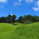 고아리벽화고분 이미지