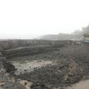 위미3리 이미지