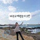 카페오브젝트 | [제주도여행후기-3편]소금바치순이네/모어모어/오브젝트제주/슈퍼플라워/블루엘리펀트/소랑스런제주...