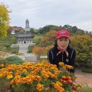 가을여행 백제불교최초도래지＜ 2 ＞ 이미지