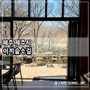 소길숲속 | 제주도 애월 대형카페 산책하기 좋은 이끼숲소길 내돈내산 후기