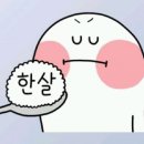 시즌온핏 이미지