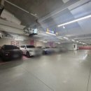 댕파티셰 이미지