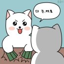 태산체육관 | 뭘 봐 원도어 처음 봐?
