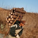 선녀와나무꾼 이미지