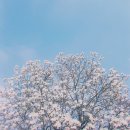 몰아올리는 주인놈의 일상(?)