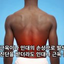 강녕한의원 이미지