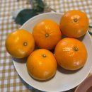 순연농장 이미지