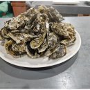 월평동맛집 풍성한 맛의 향연, 흑산도회 후기