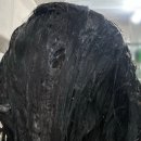 care mate | 향기 좋은 탈모 샴푸 추천, 바디브 미오 마테 루트 샴푸 솔직 후기