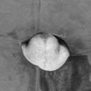 온리동물병원 이미지