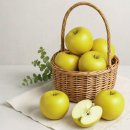 충북원예농업협동조합 이미지