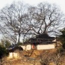 창녕인물비사㉒ / 대유大儒 간송 조임도와 망우정을 물려받은 모재 이도순 이미지