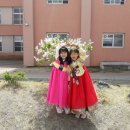 금호초교 이미지