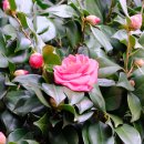 양정현대유치원 이미지