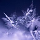 만안평생교육센터(만안평생학습센터) 이미지