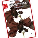 씨앗 이미지