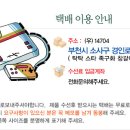 덕신수선 이미지