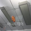 바이썬 이미지
