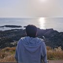 양남주상절리 | 경주 양남 주상절리 전망대와 산책로 (입장가능시간과 주차장)