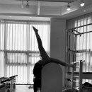 서유2호 이미지