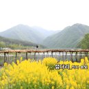 듀엣 발라드 현대시선 7월의 밴드 선정시_섶다리_작사 솔빛 김인숙_작 편곡 수노_기획 편집 윤기영 이미지