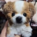 더나음 피티 | 꿈이라치고 재밌게 놀자