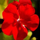 예주고을작은도서관 | [태을3][명당明堂]