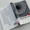 🩺 일상기록 | 2025년 4월 4주차, 인터케어 건강검진 후기, 세종청약, 연대 담산, 동묘 벼룩시장, 파이브...