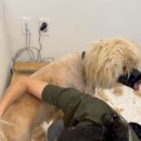 도킹어바웃 이미지