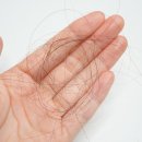 샴푸헤어 | 메다비타 리바이탈 10+ 두피솔루션 샴푸 &amp; 헤어토닉 상세후기, 두피앰플 추천