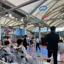 열정의 계성태권도 이미지