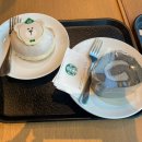 [내 돈 내산] 스타벅스 신메뉴/ 베어 스타 마스카포네 도넛/부드러운 흑임자 롤 후기