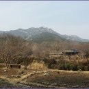 간촌1 Daum카페