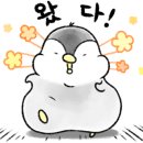 아라종합동물병원 이미지