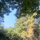 온리앳오운리 이미지