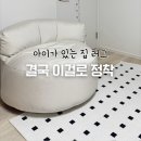 한빛크리닝 | 사이잘룩러그 vs 장모러그 다 써본 후 선택한, 한빛카페트 노르딕 사계절 워셔블 러그
