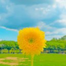 스마트폰 사진 보정 기법 | 갤럭시 사진 편집 무료 강의 후기 : 스마트폰 촬영 크리에이터 담이가 알려주는 감성 사진 보정법