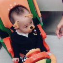 미노마루 이미지